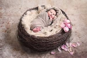 Newborn Nest with Roses
