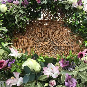 Echo newborn nest west sussex
