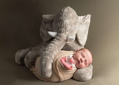 baby gallery photograph with toy elephant haywards heath